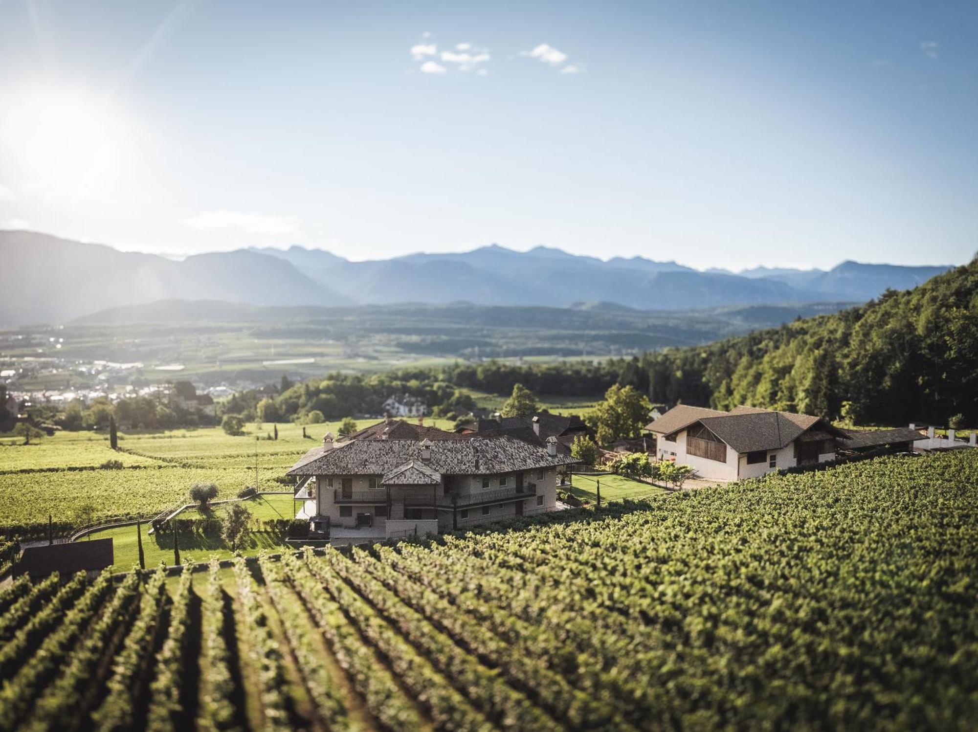 Nofnerhof Apartment Appiano Sulla Strada Del Vino Ngoại thất bức ảnh